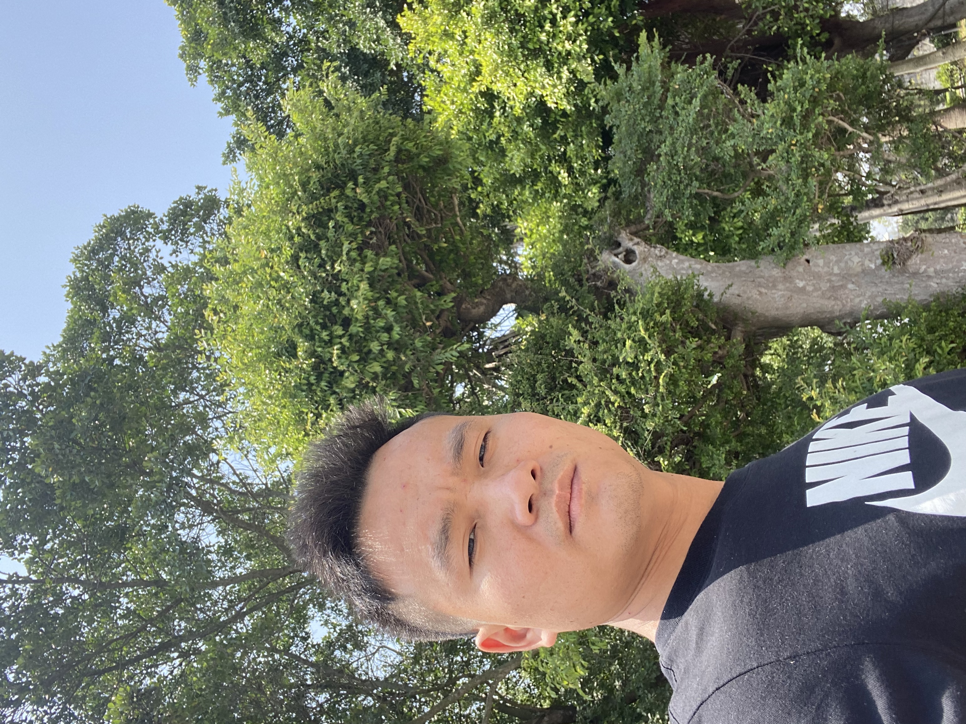 梦醒时分5的照片