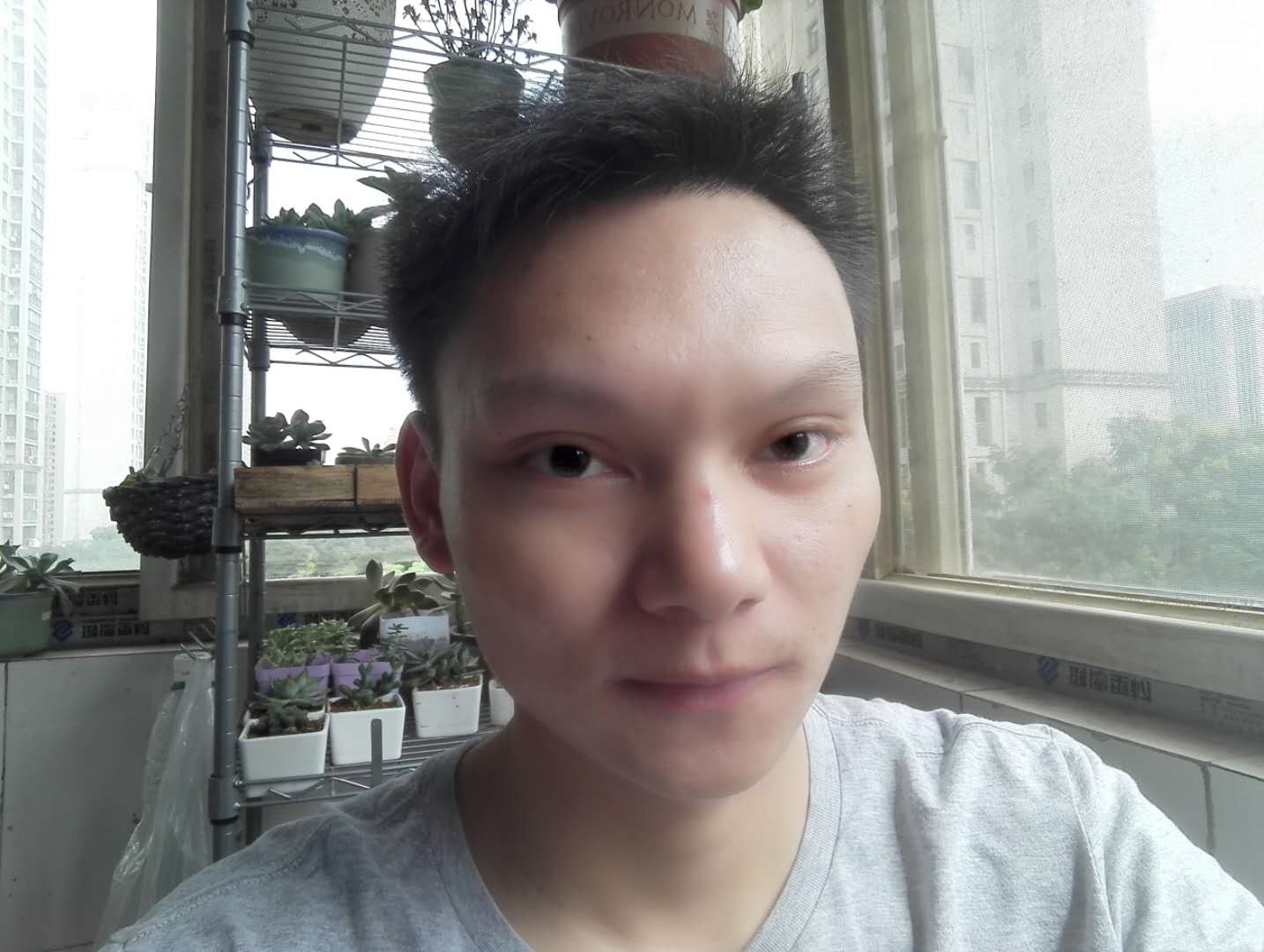 叶上花开的照片