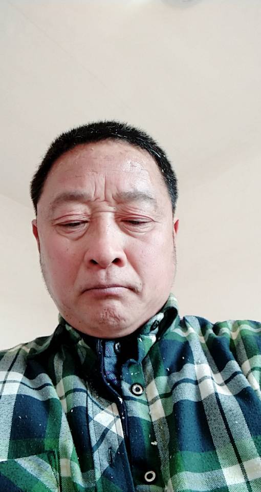 荷塘鲜艳的照片