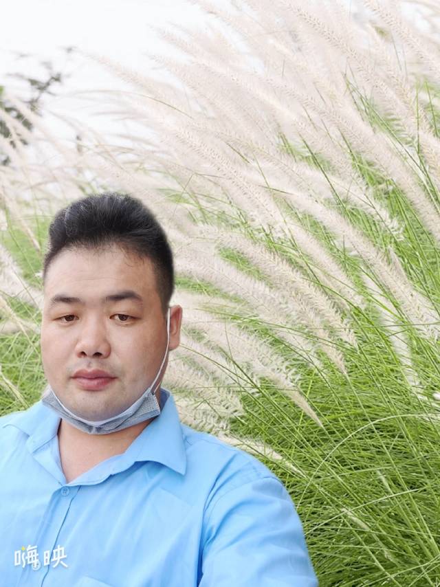 大海随机人生的照片