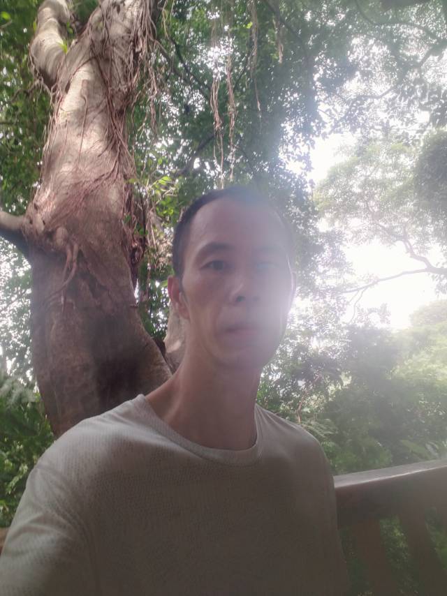 爱我是你说的谎言的照片