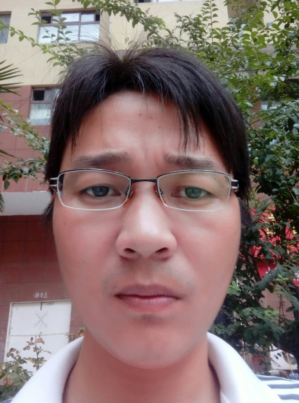 豆黄的照片