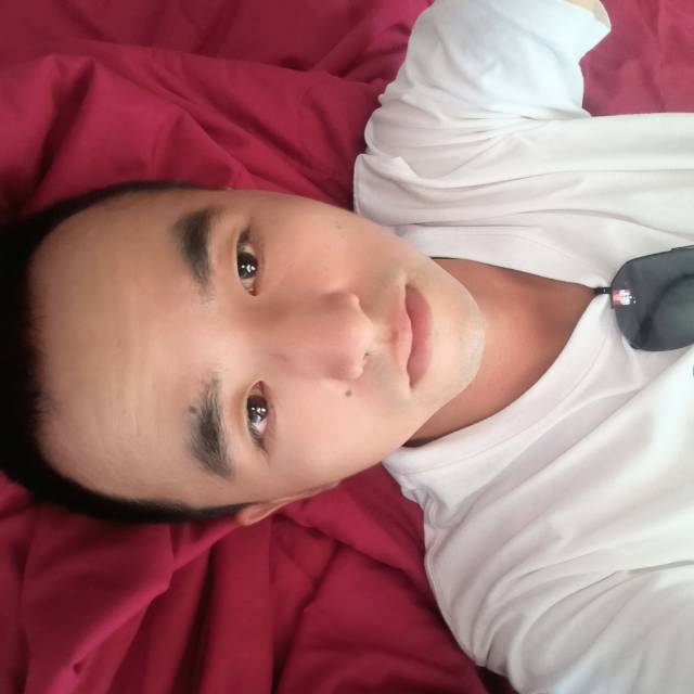 会员257995358的照片