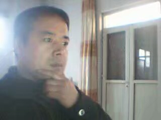 橄榄树橄榄树的照片