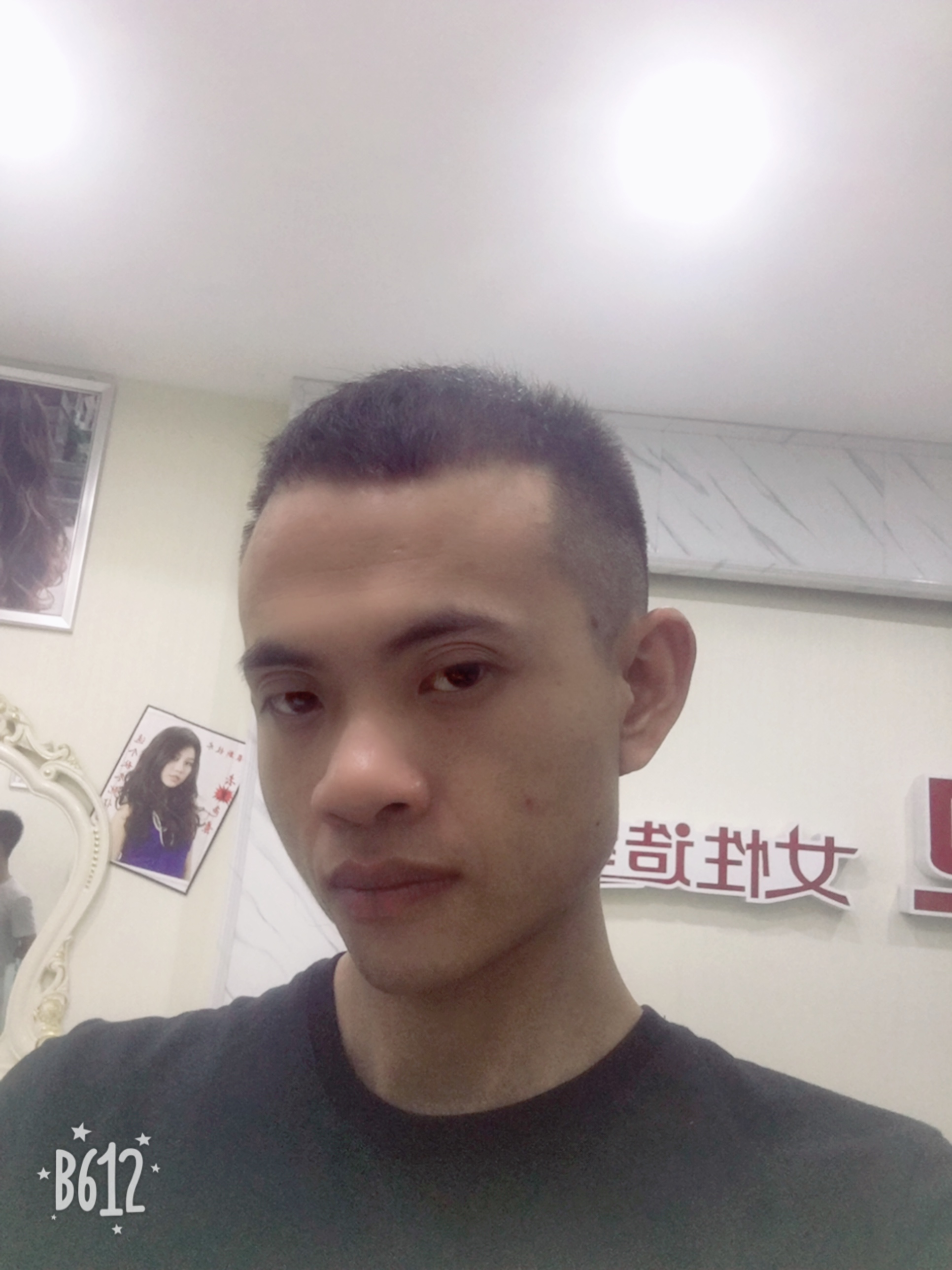 老鹰的照片