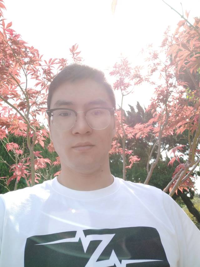 殘陽的照片