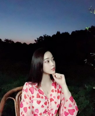 沙发上猫的照片