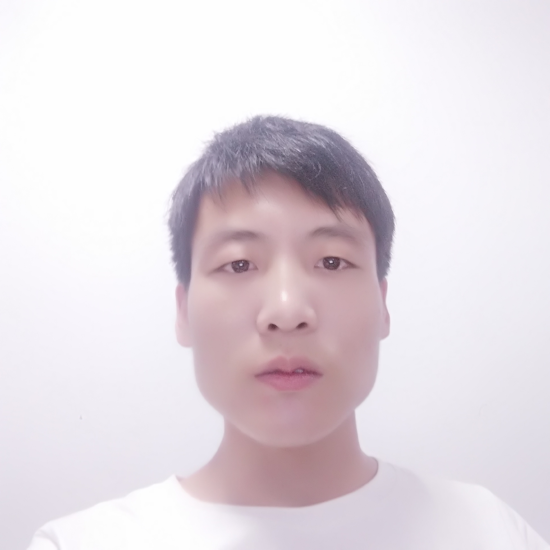 58683的照片