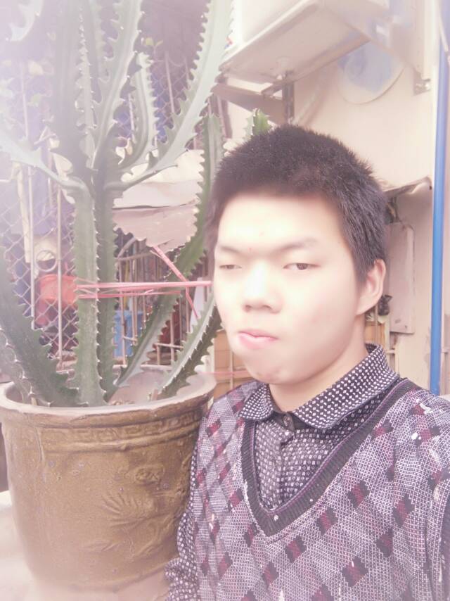 真珠奶茶的照片