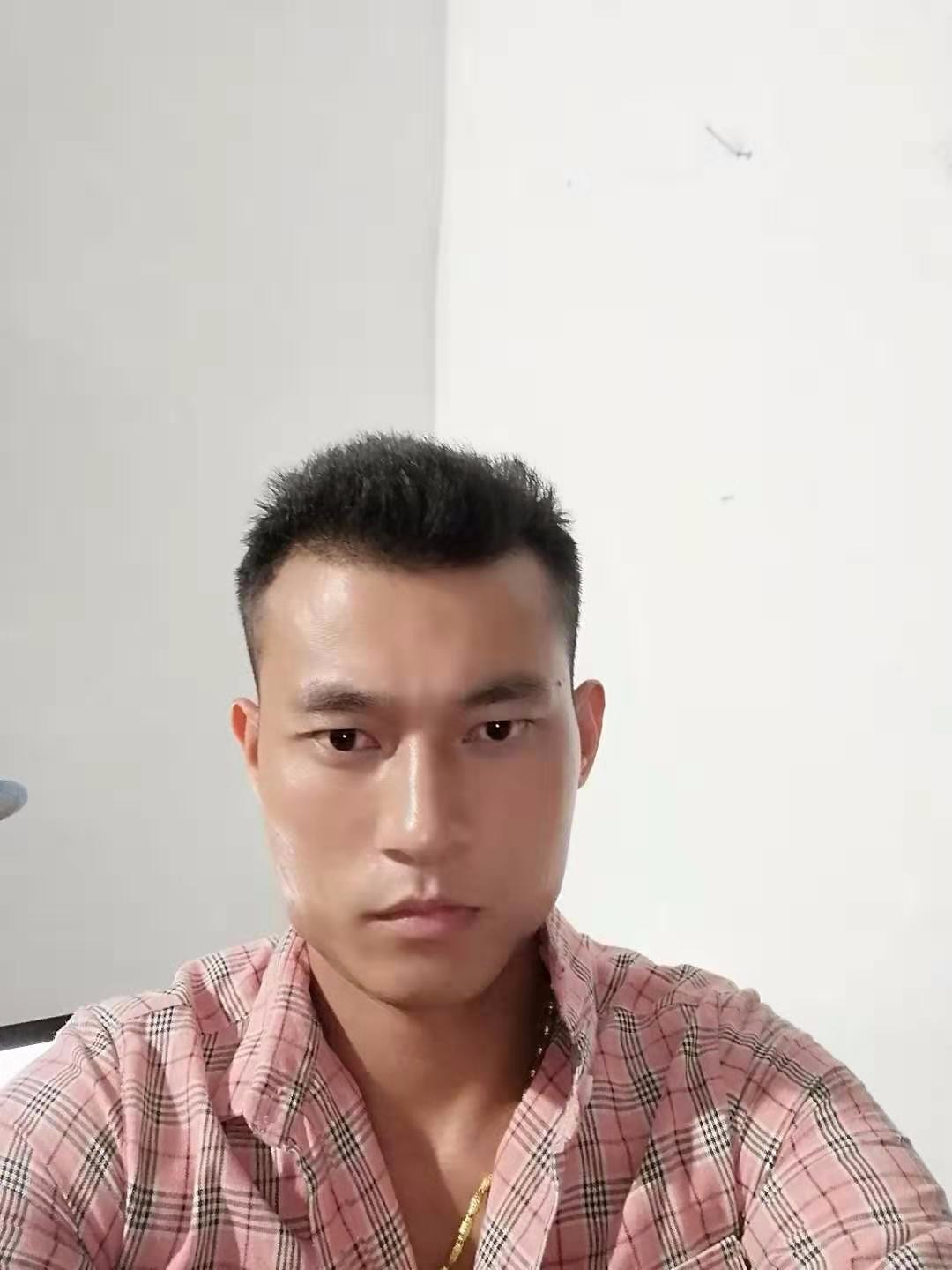 白马王子111的照片