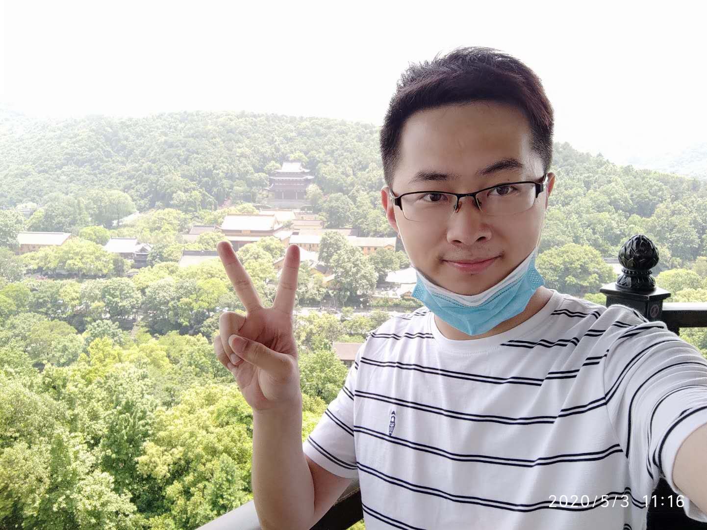 狐狸狐狸的照片