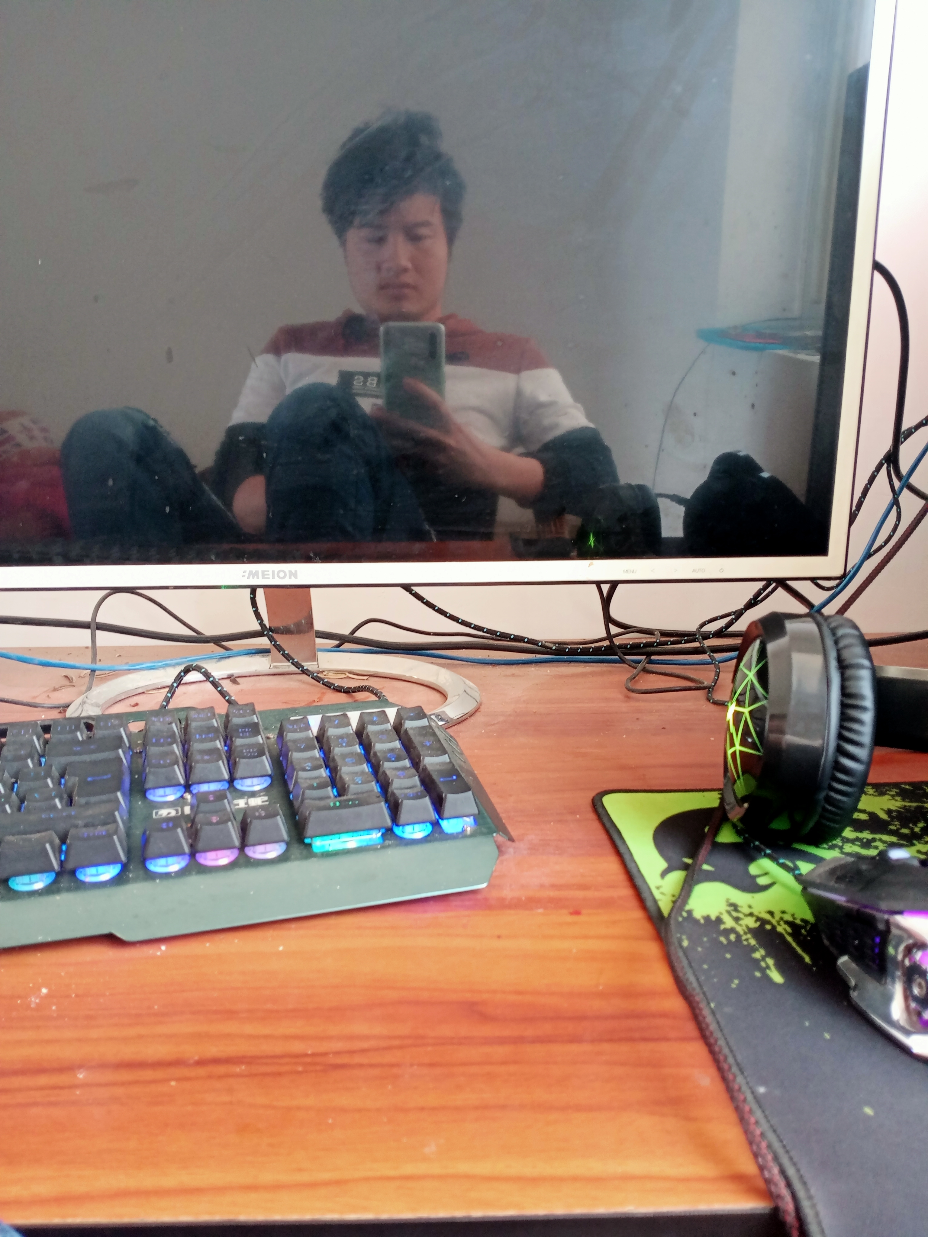 龙龙根的照片