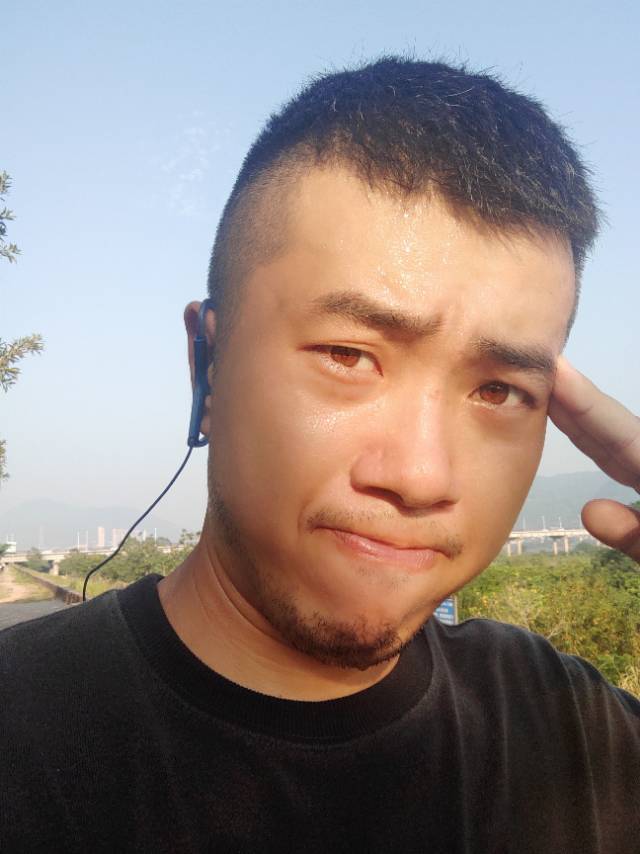 八两金的照片