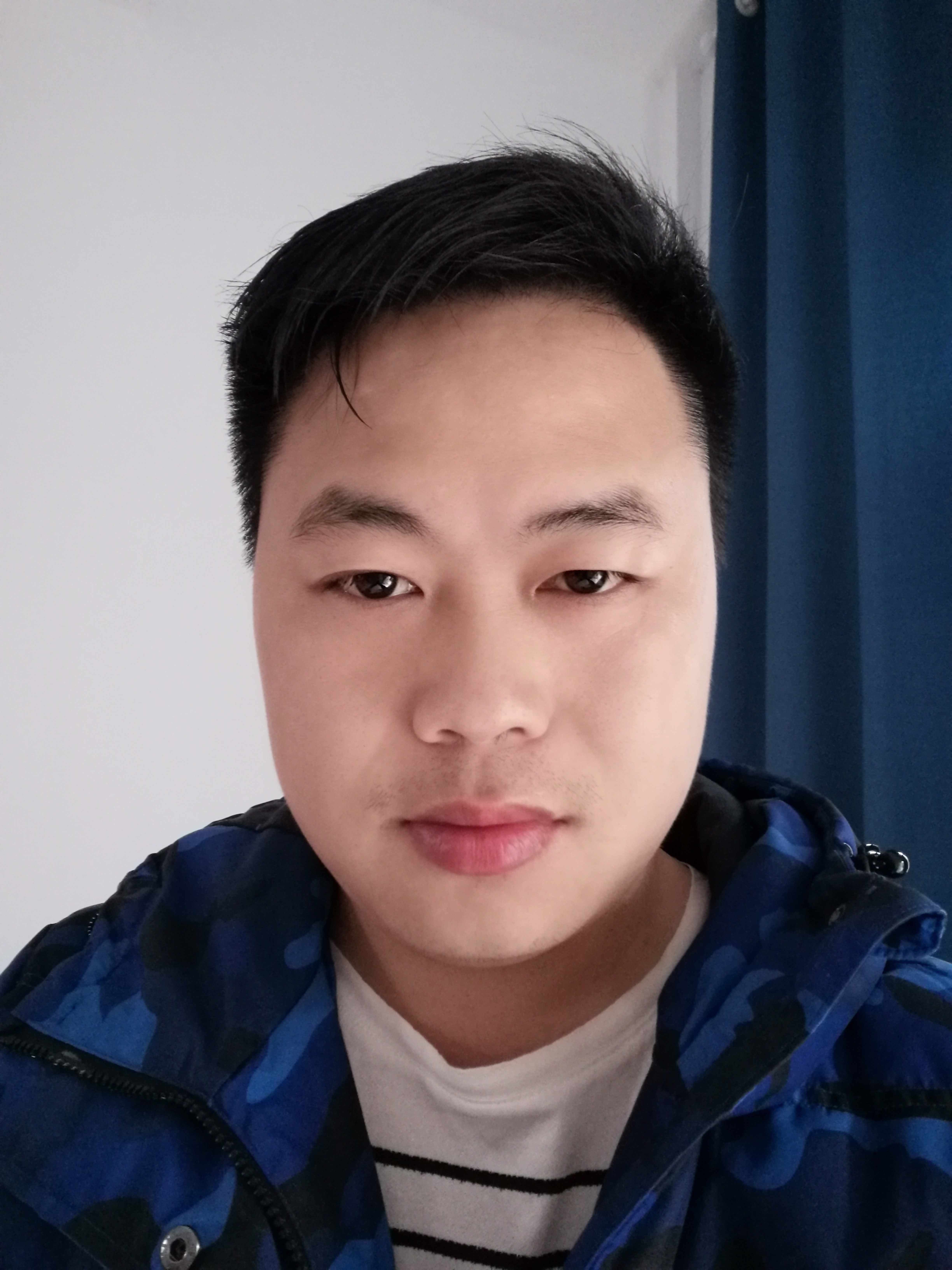 双子座的小兔子的照片