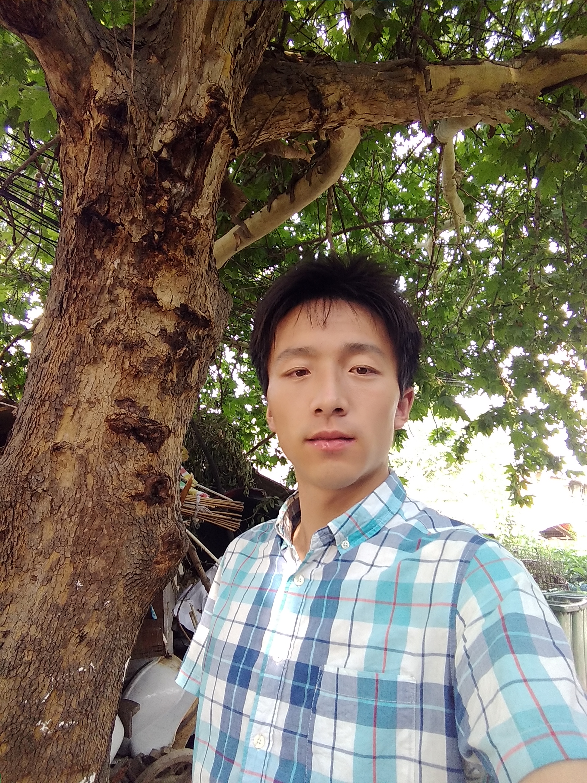 张晓茂的照片