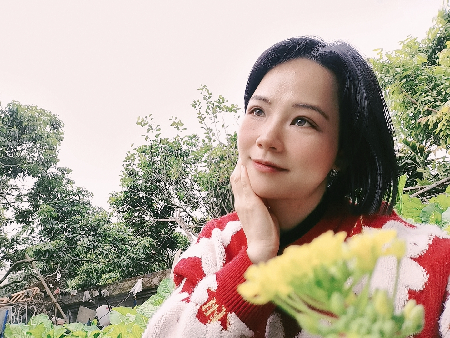 会员212048879的照片