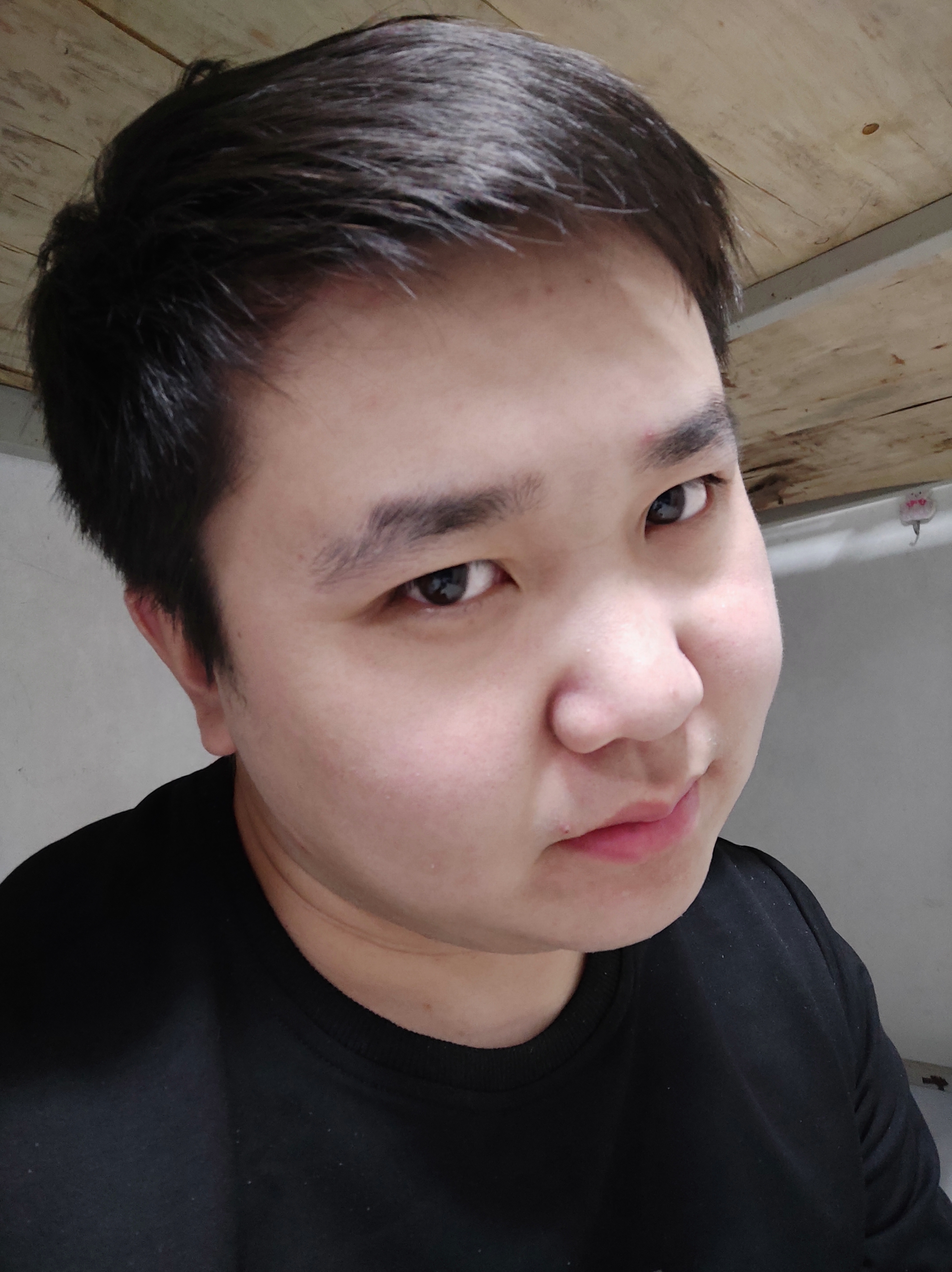 腾啊飞的照片