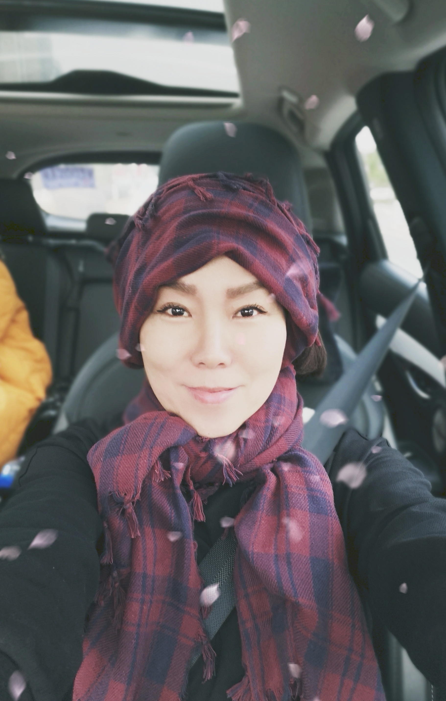 会员692716713的照片