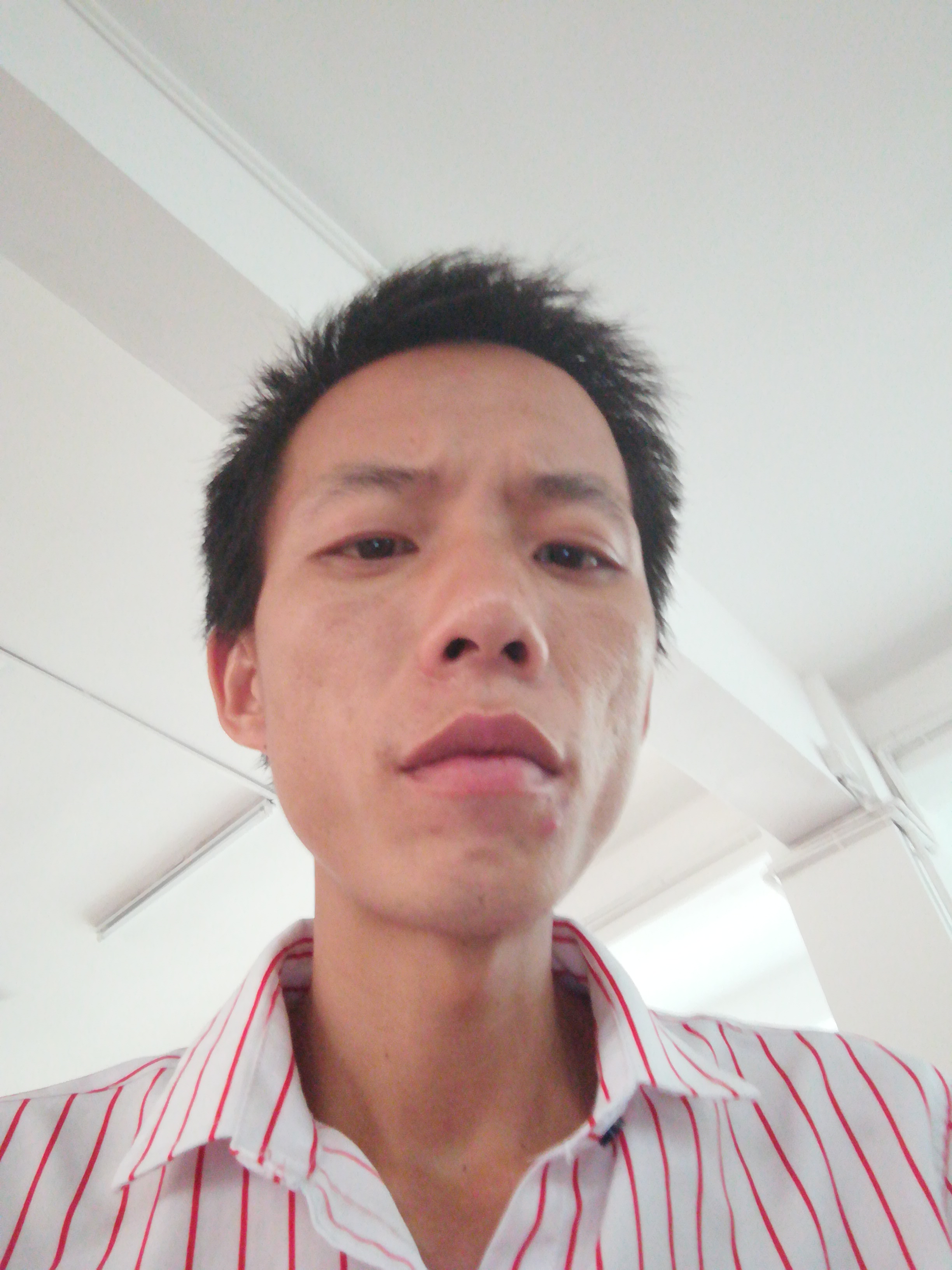 南港风情的照片