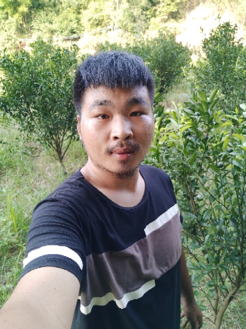 张添宝的照片