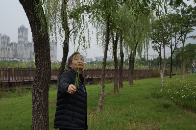 会员110263858的照片
