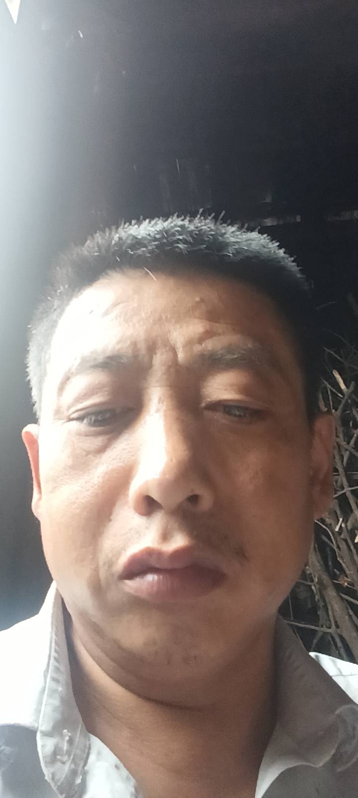 会员143632177的照片