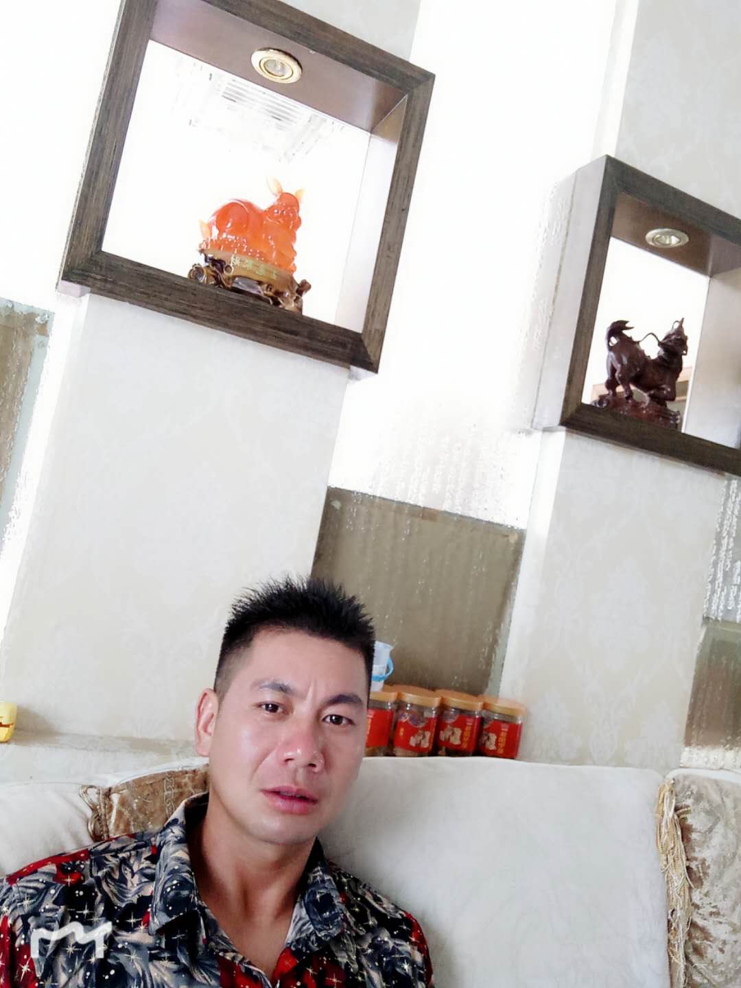 会员298463481的照片