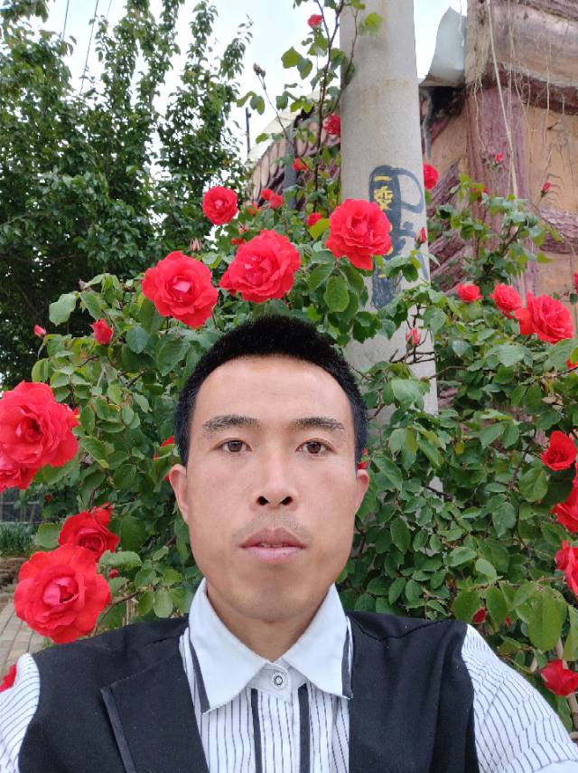 会员755887667的照片