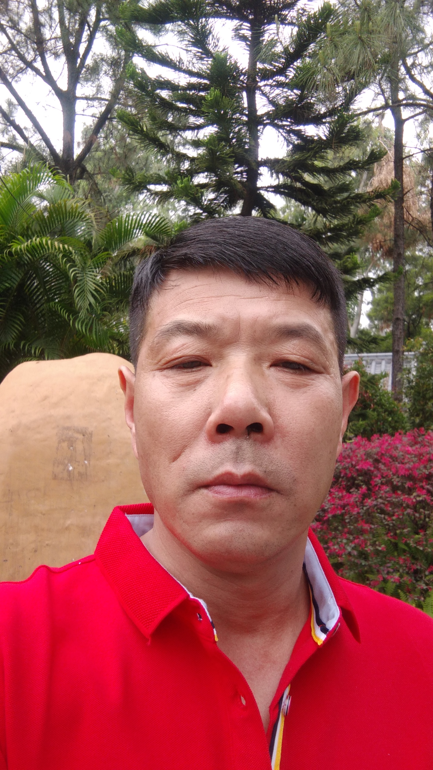 辉色年华的照片