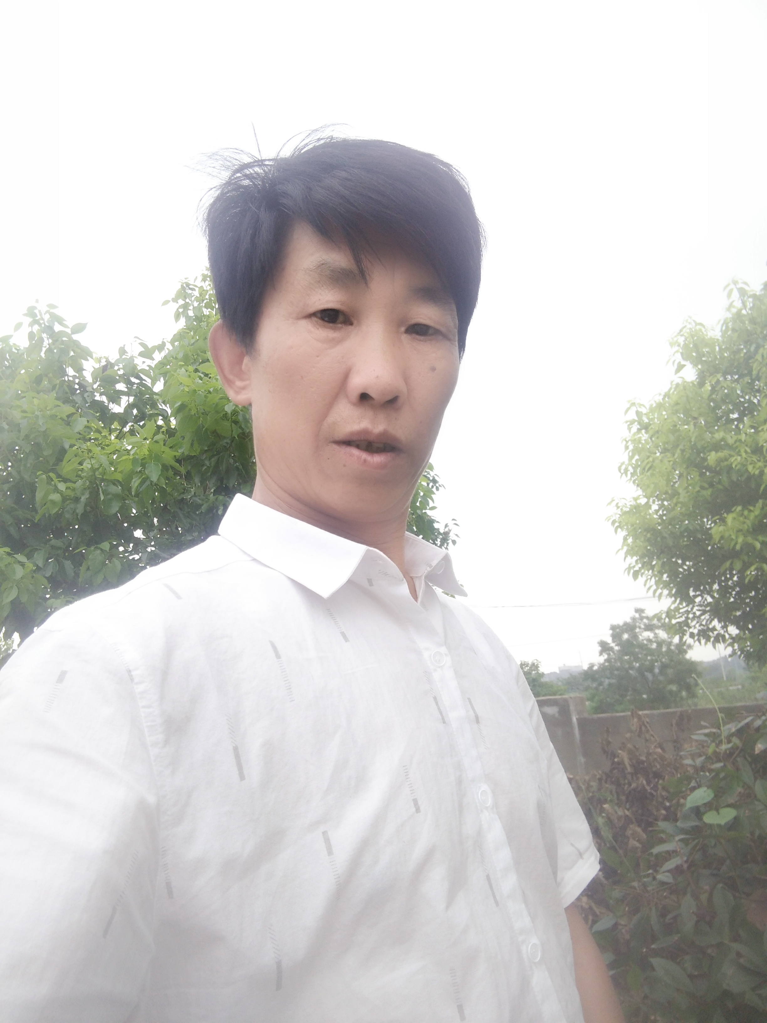 丽康蜂蜜的照片