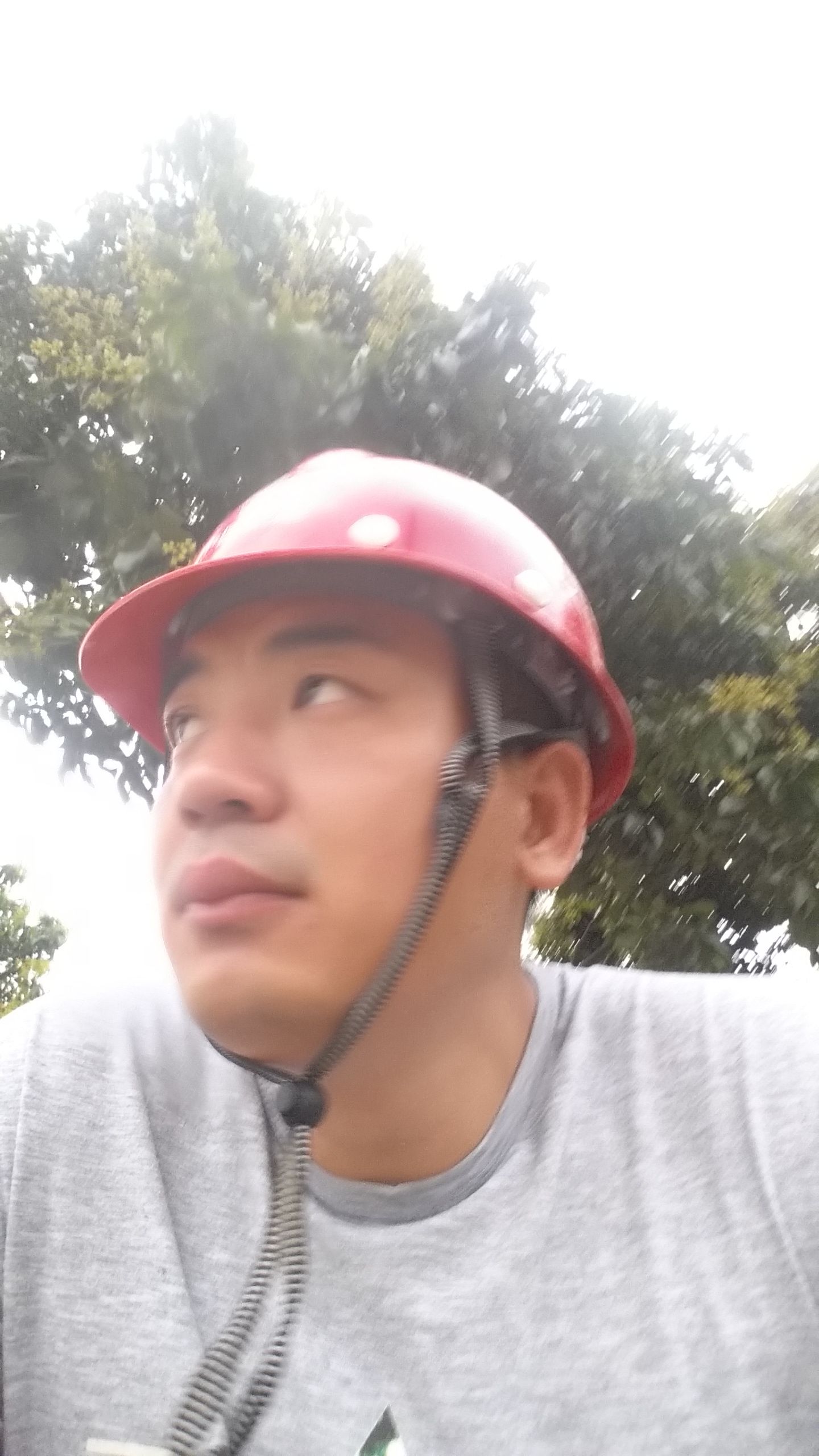 会员175689326的照片