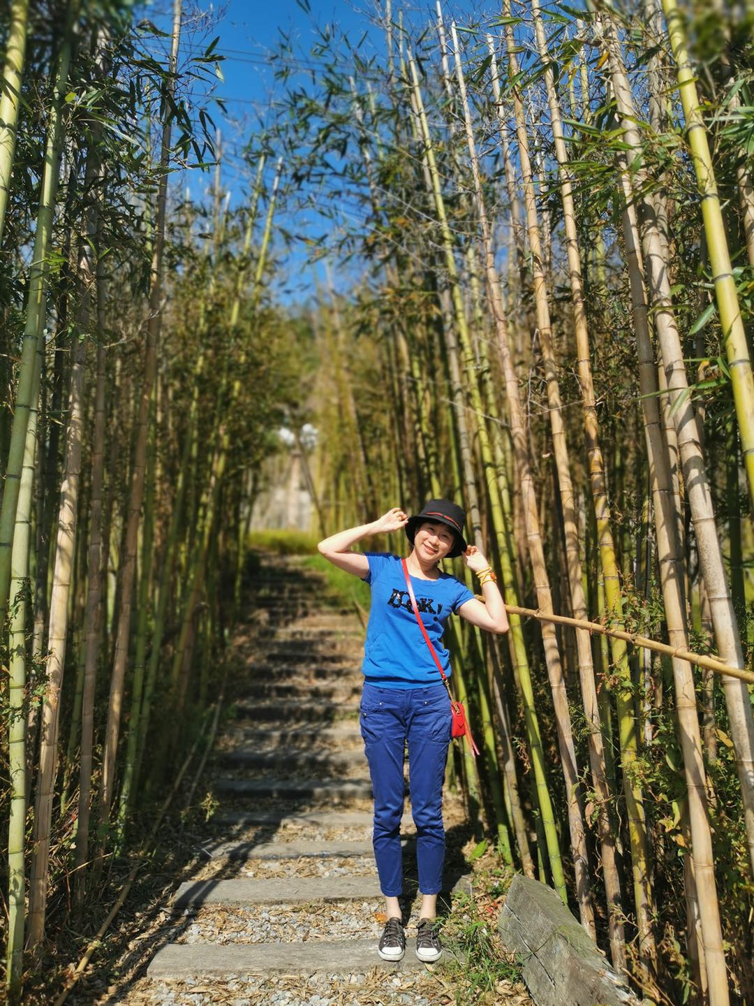 喝茶的鱼的照片