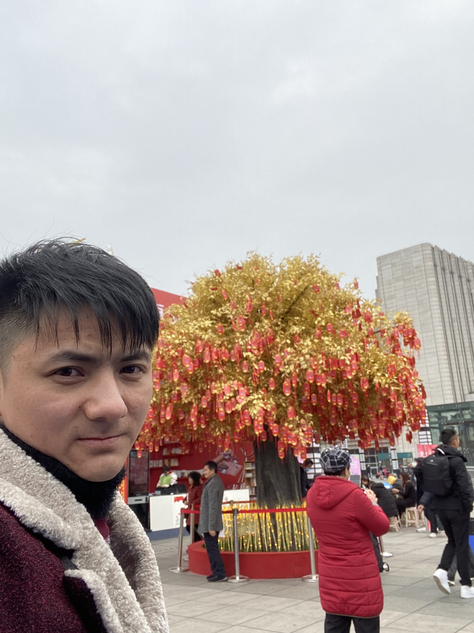 似真还是的照片