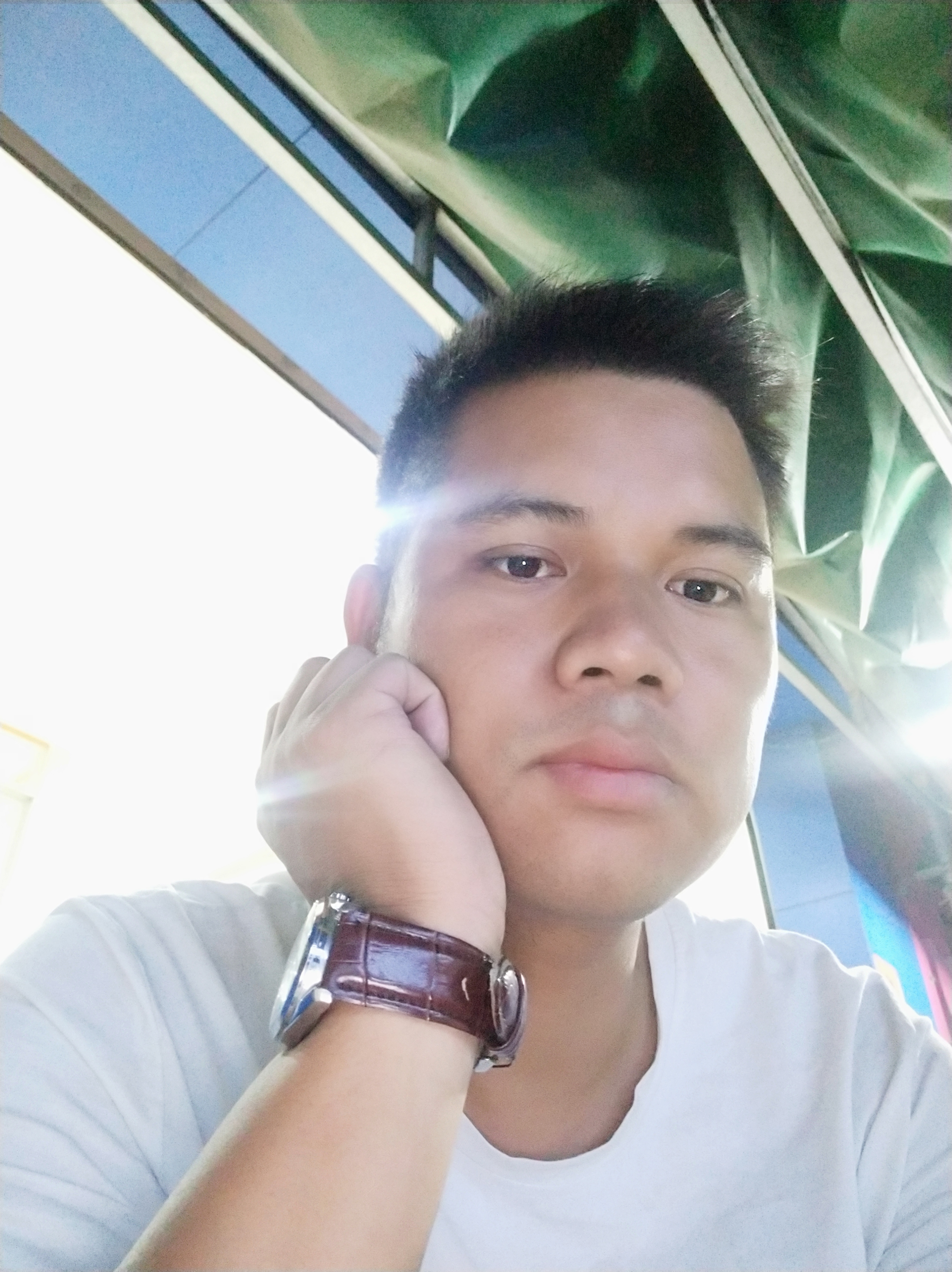 标哥到你家的照片