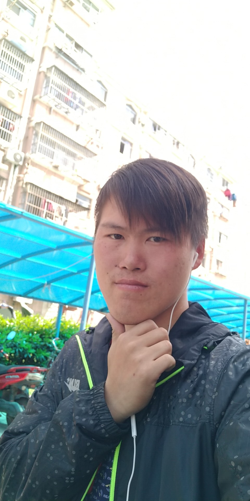 独行的孤狼的照片