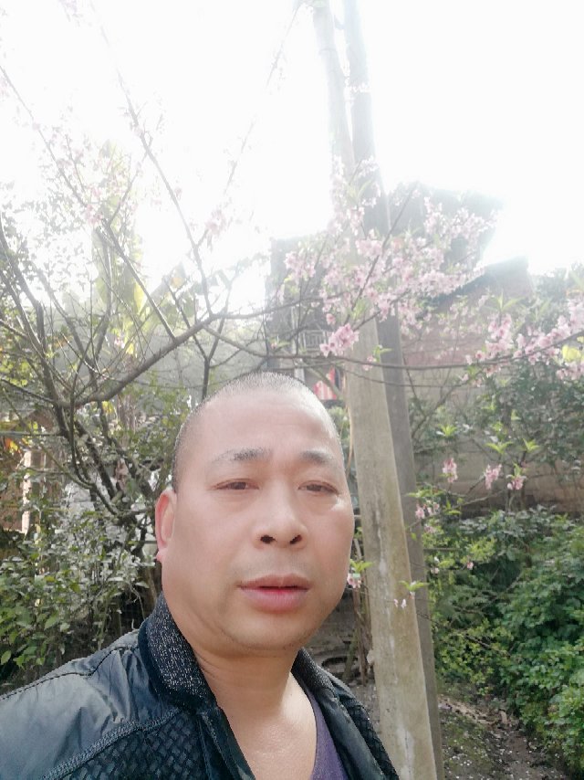 会员508593013的照片