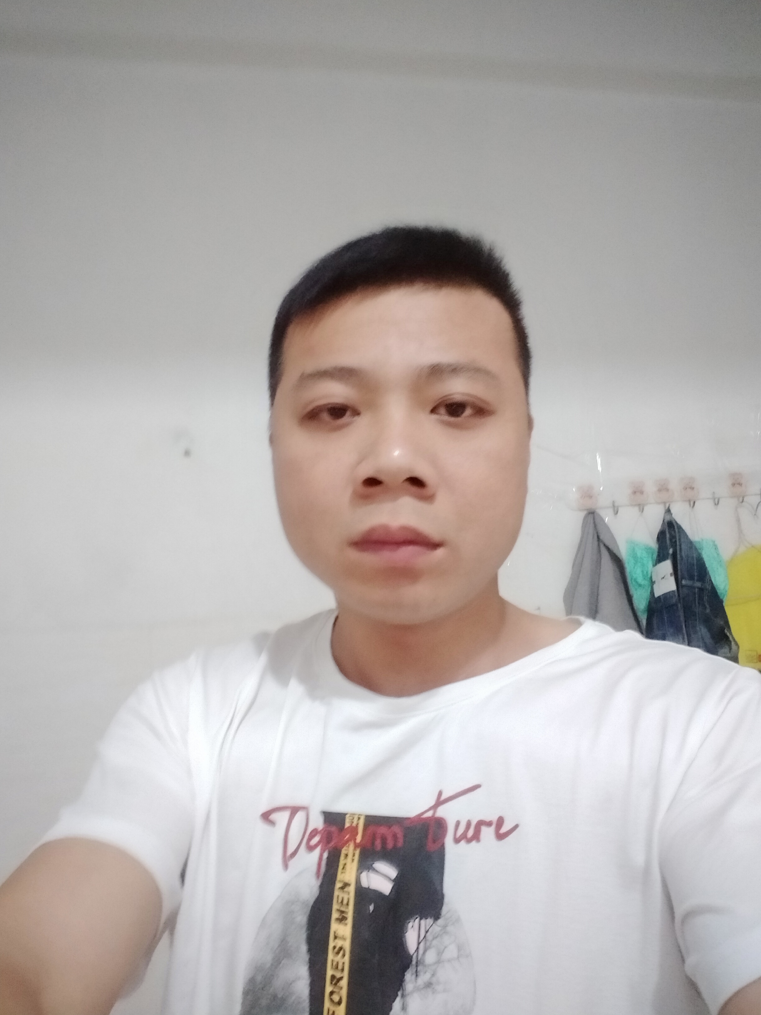 重感情的狼的照片