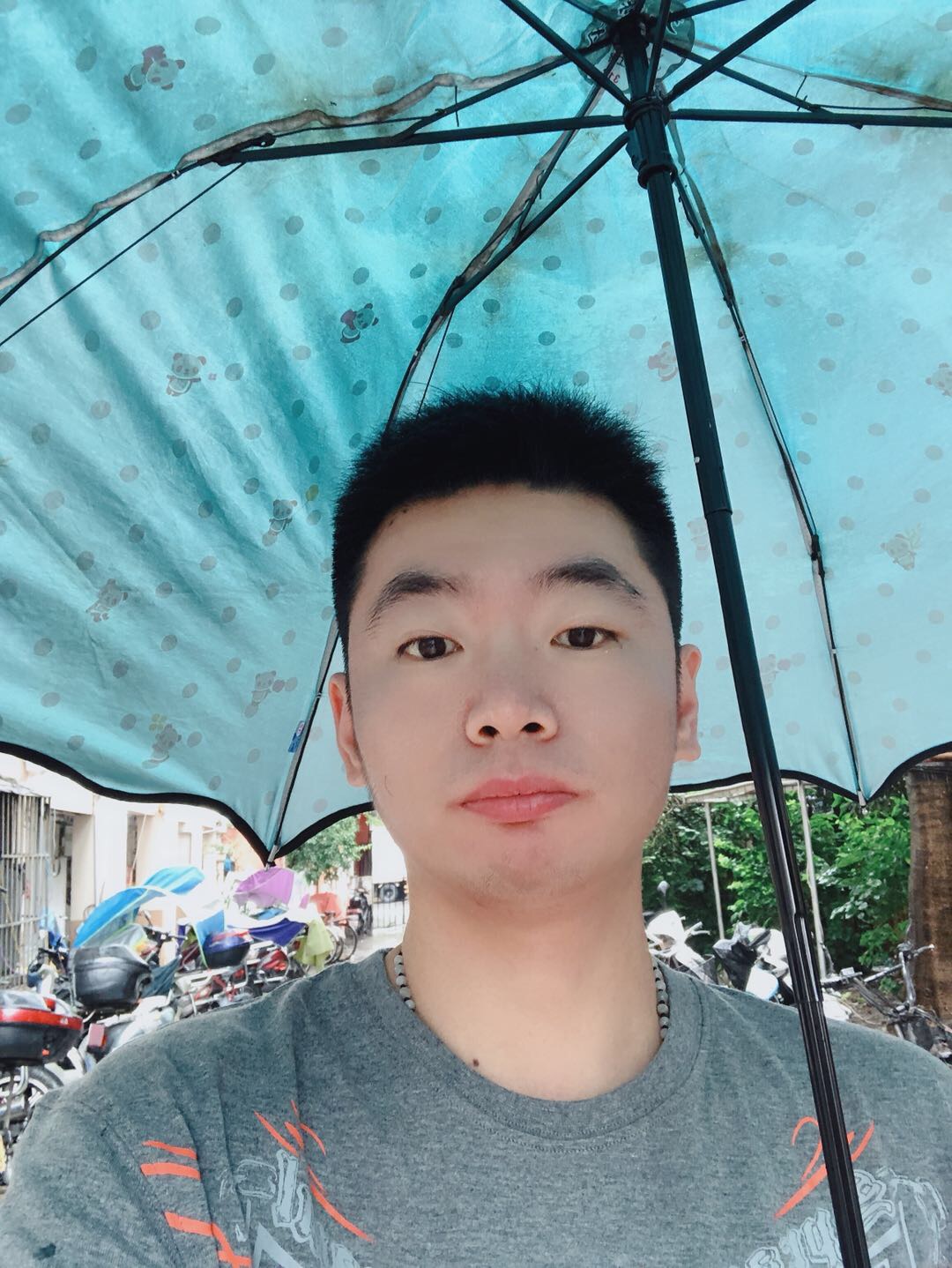 小鱼精a的照片