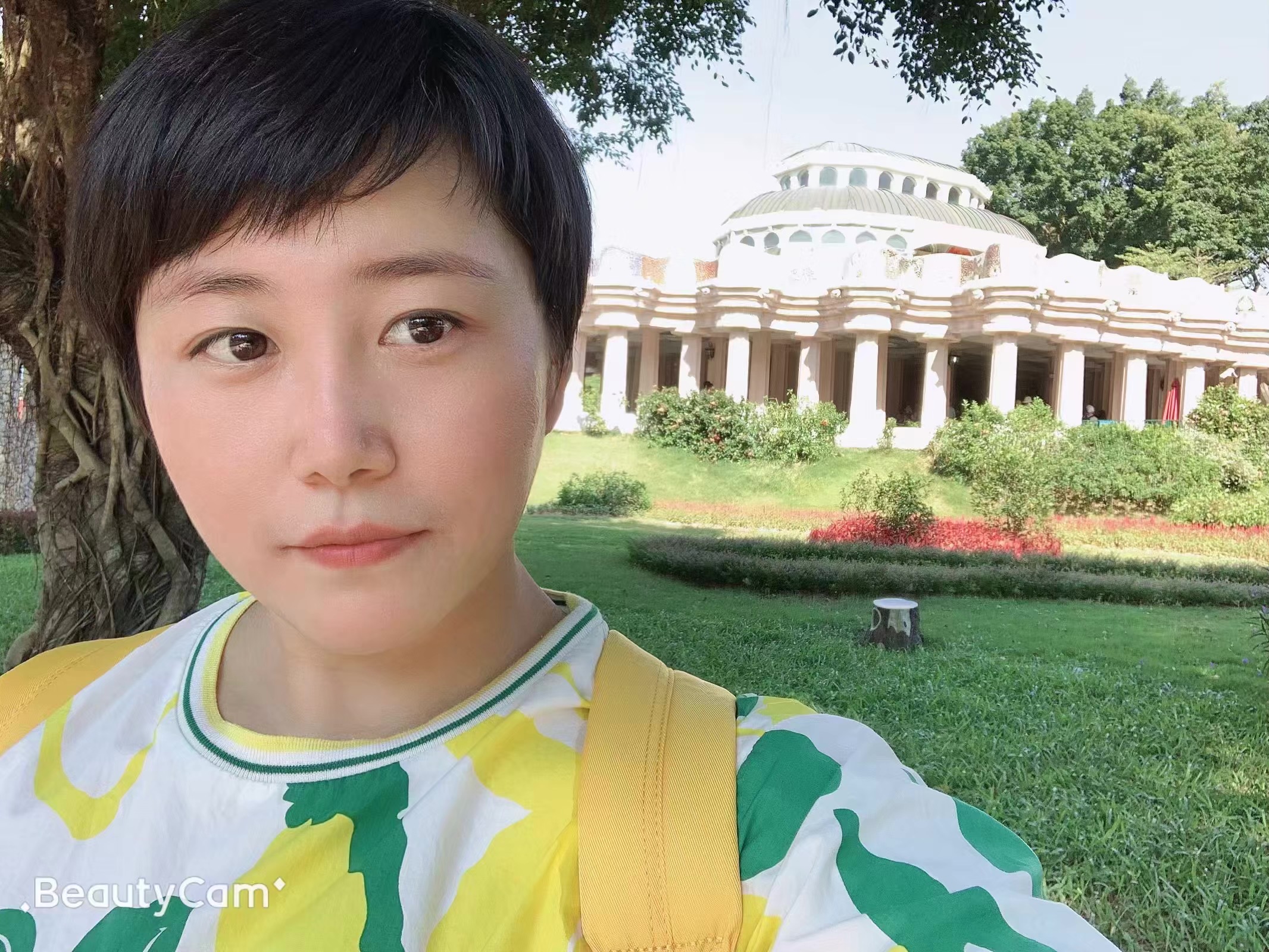 许下你的愿望的照片