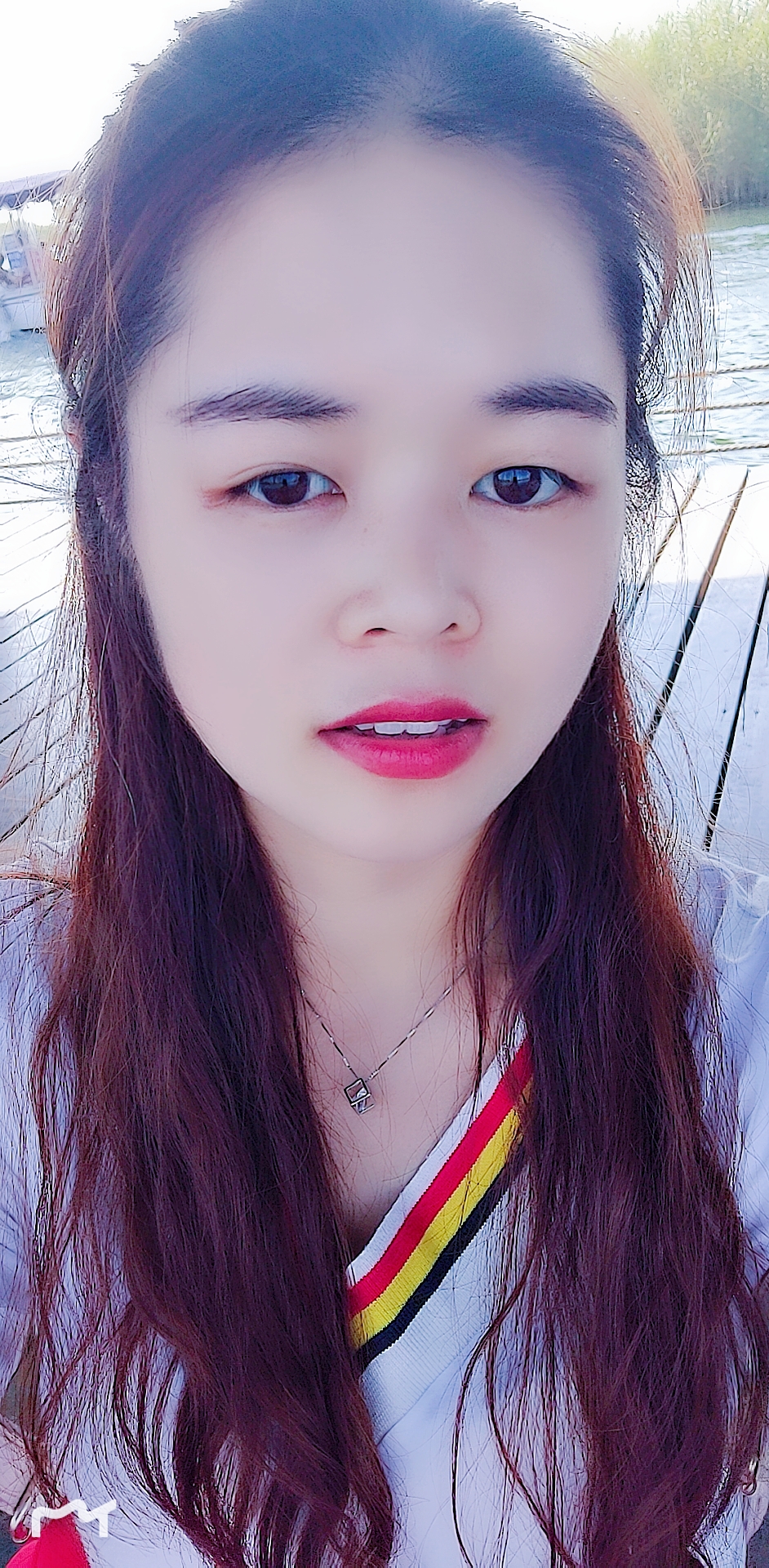 盼盼小面包的照片