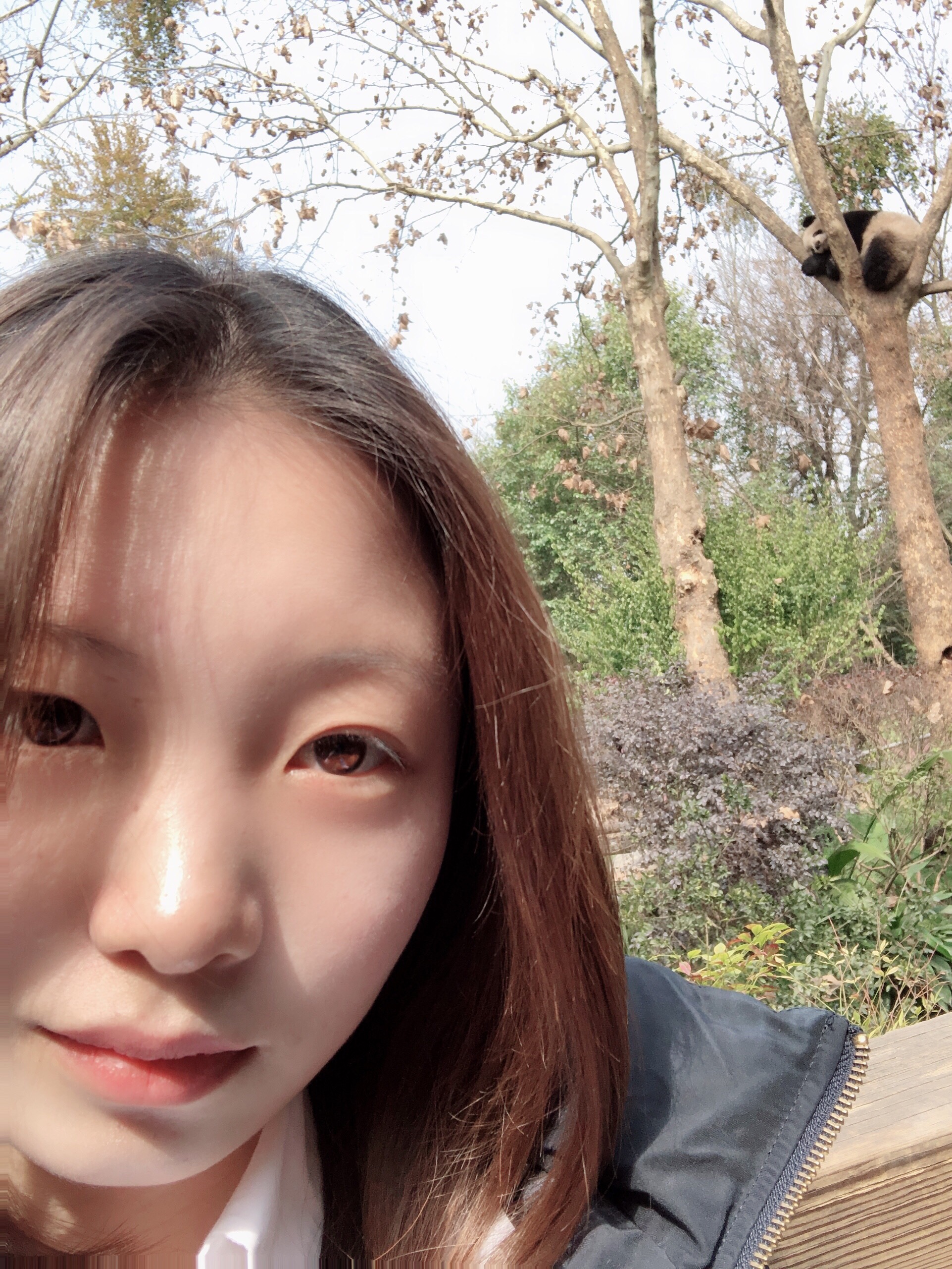 会员765249575的照片