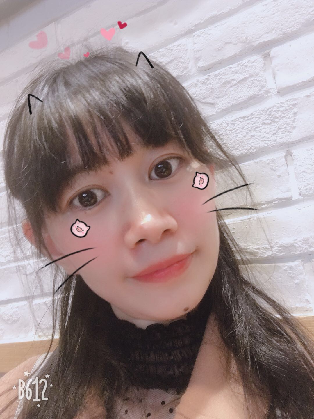 深巷与猫的照片