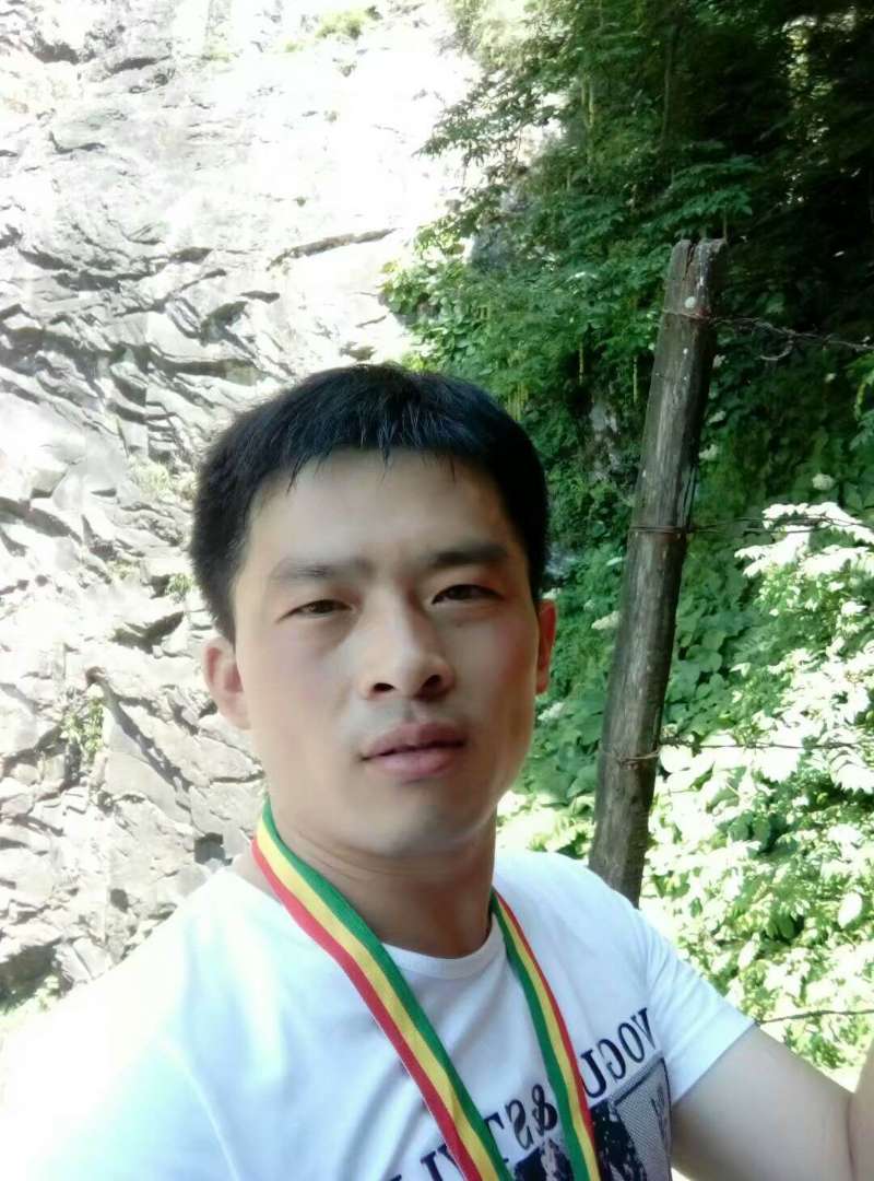 橄榄枝枝的照片