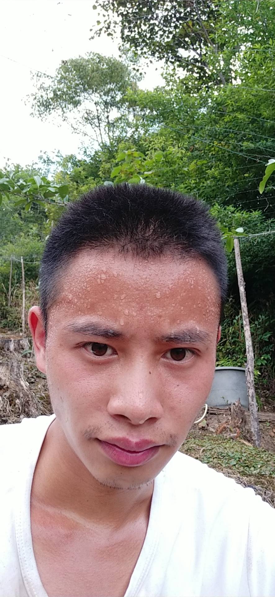 会员296193421的照片