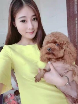 清风婉柳的照片