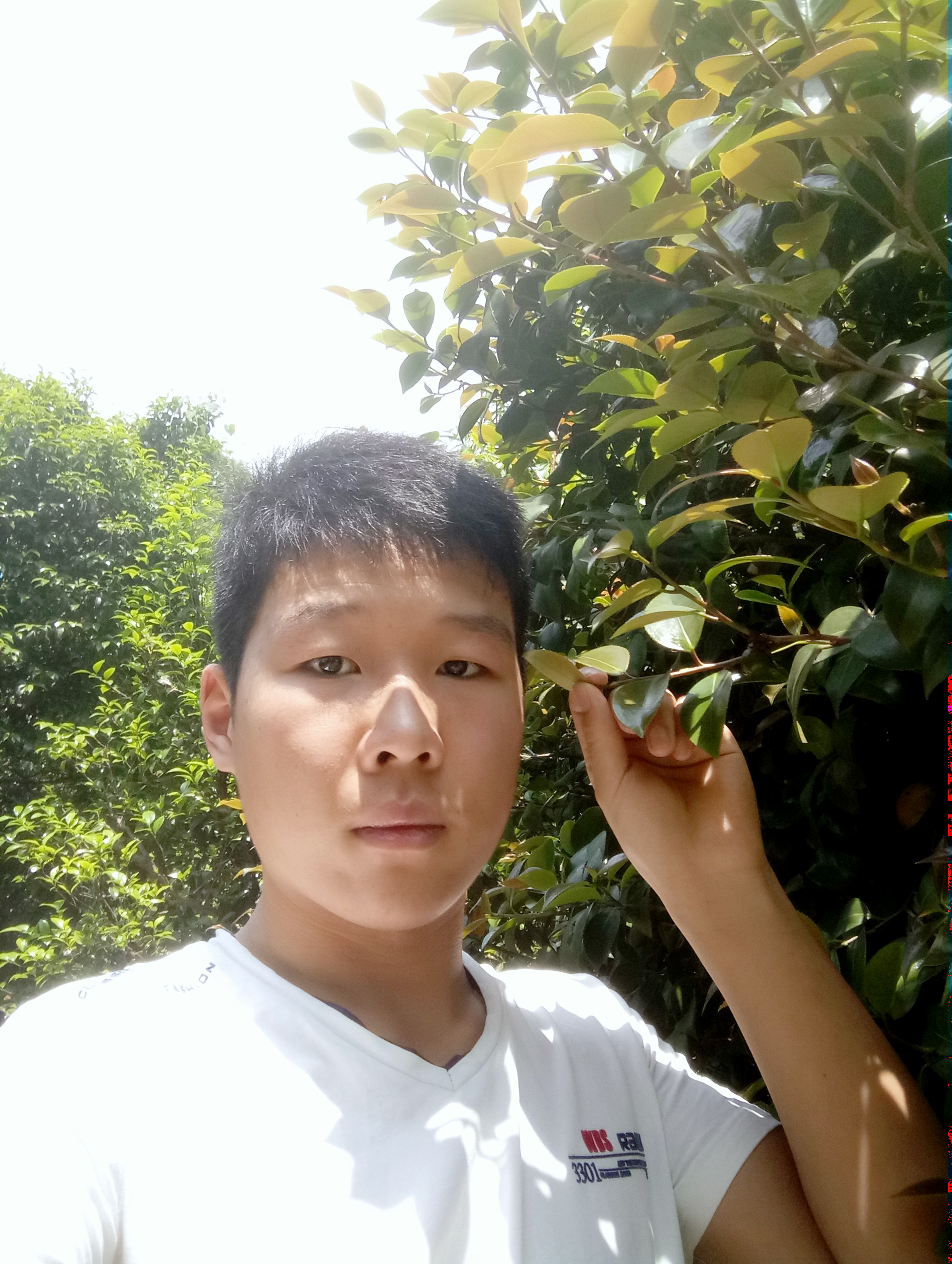 懒猪猪，猪师兄的照片