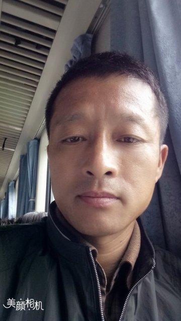 孤雪的心的照片