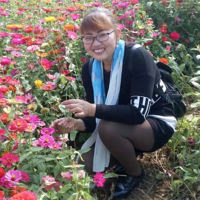 燕而飞的照片