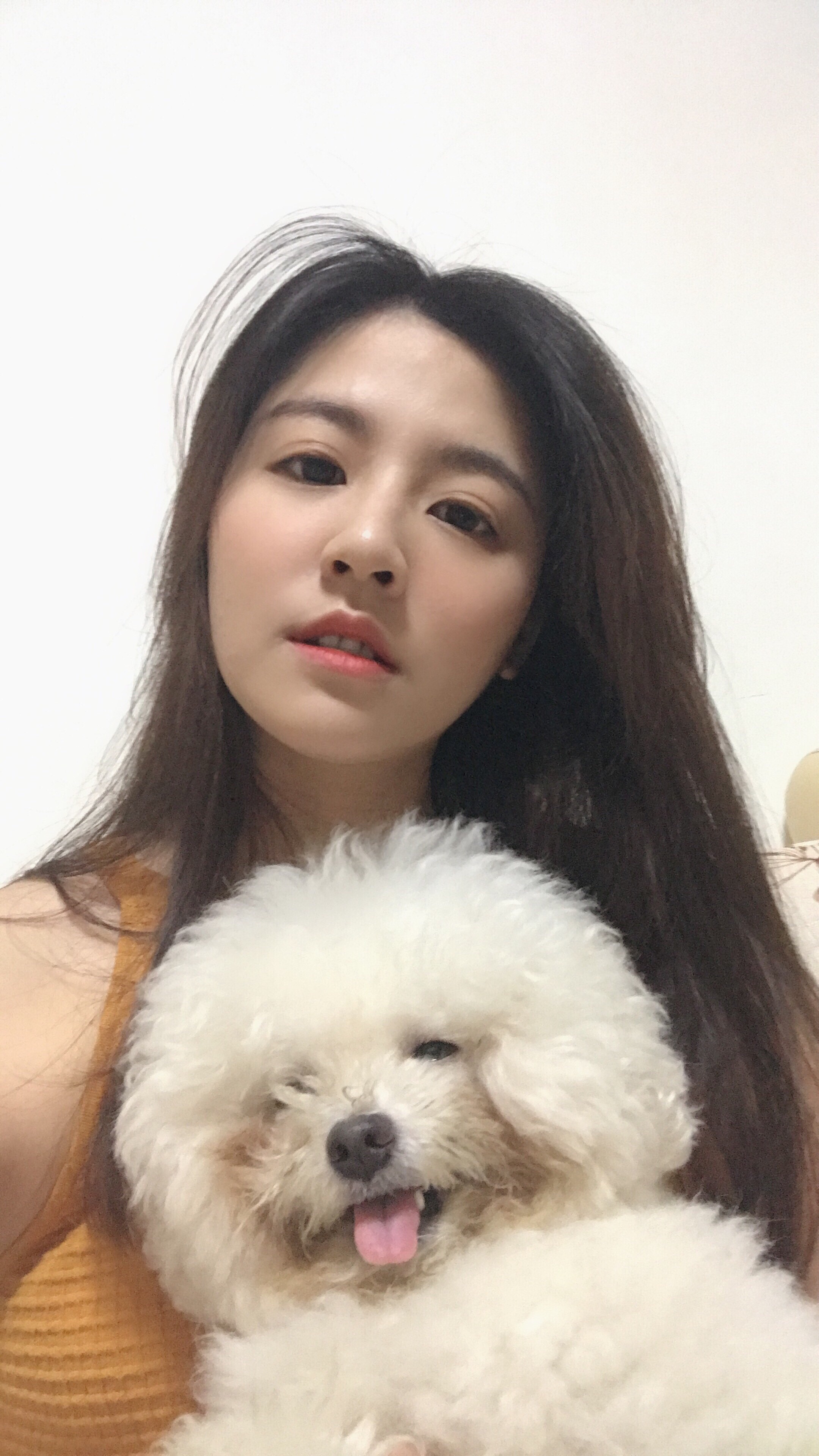 洁鸽的照片
