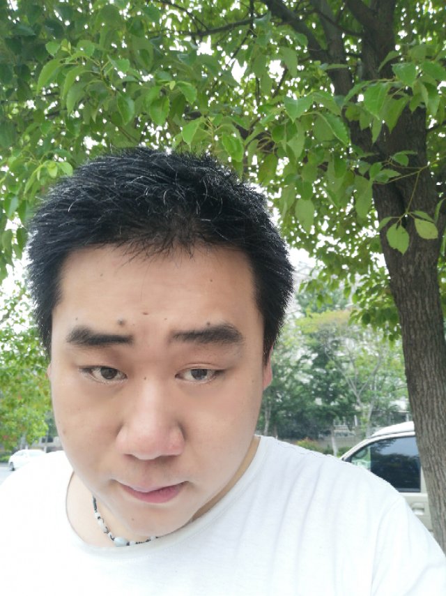 不曾习惯的照片